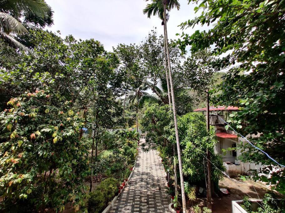 Anandam Stays - Premium 3Bhk Plush Homestay, Vaikom Near Kumarakom Ngoại thất bức ảnh